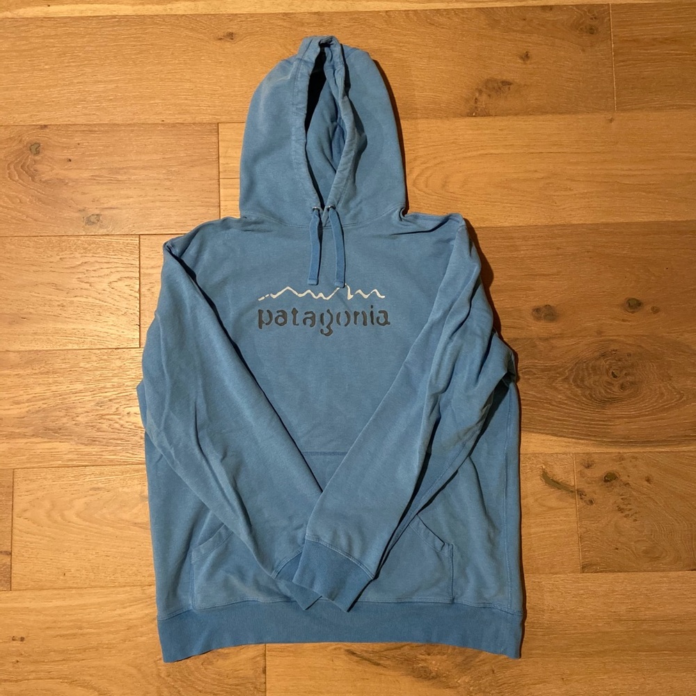 Patagonia hoodie